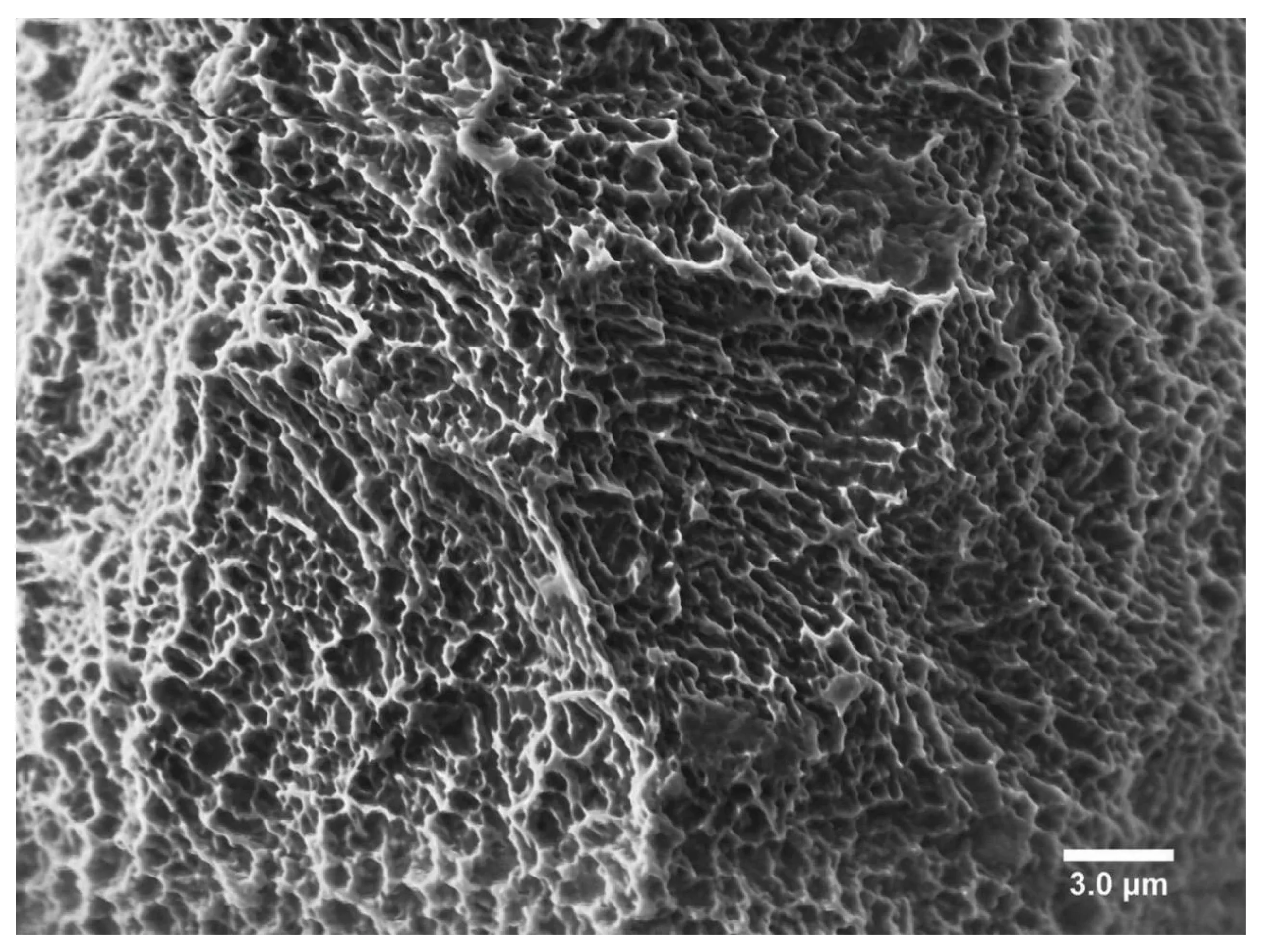 SLA Surface